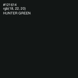 #121614 - Hunter Green Color Image